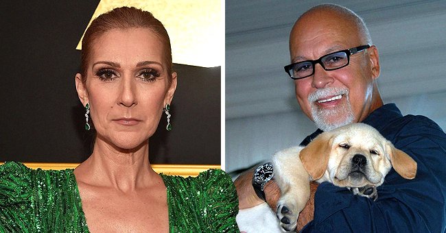 Instagram/celinedion | Getty Images