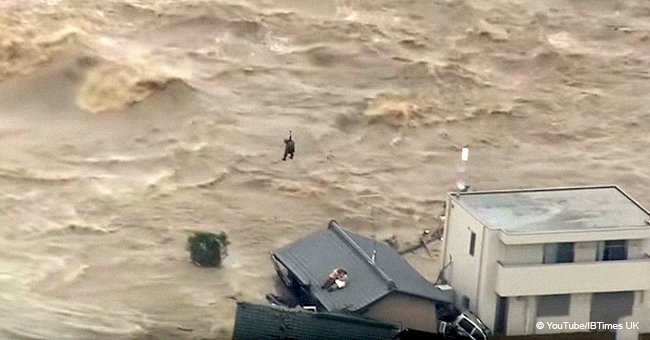 Couple wouldn't leave their pet dogs behind during a flood, risking their own lives to save them