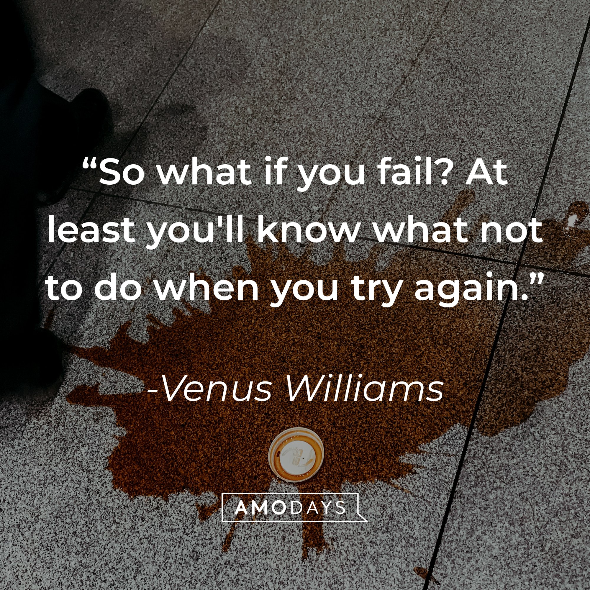 Venus Williams' quote: "So what if you fail? At least you'll know what not to do when you try again." | Image: AmoDays