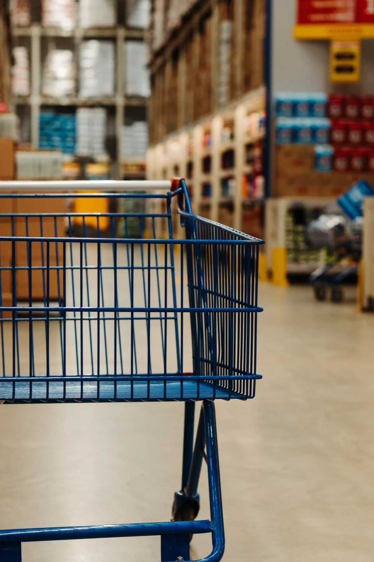 Panier d'achat | Photo : Unsplash