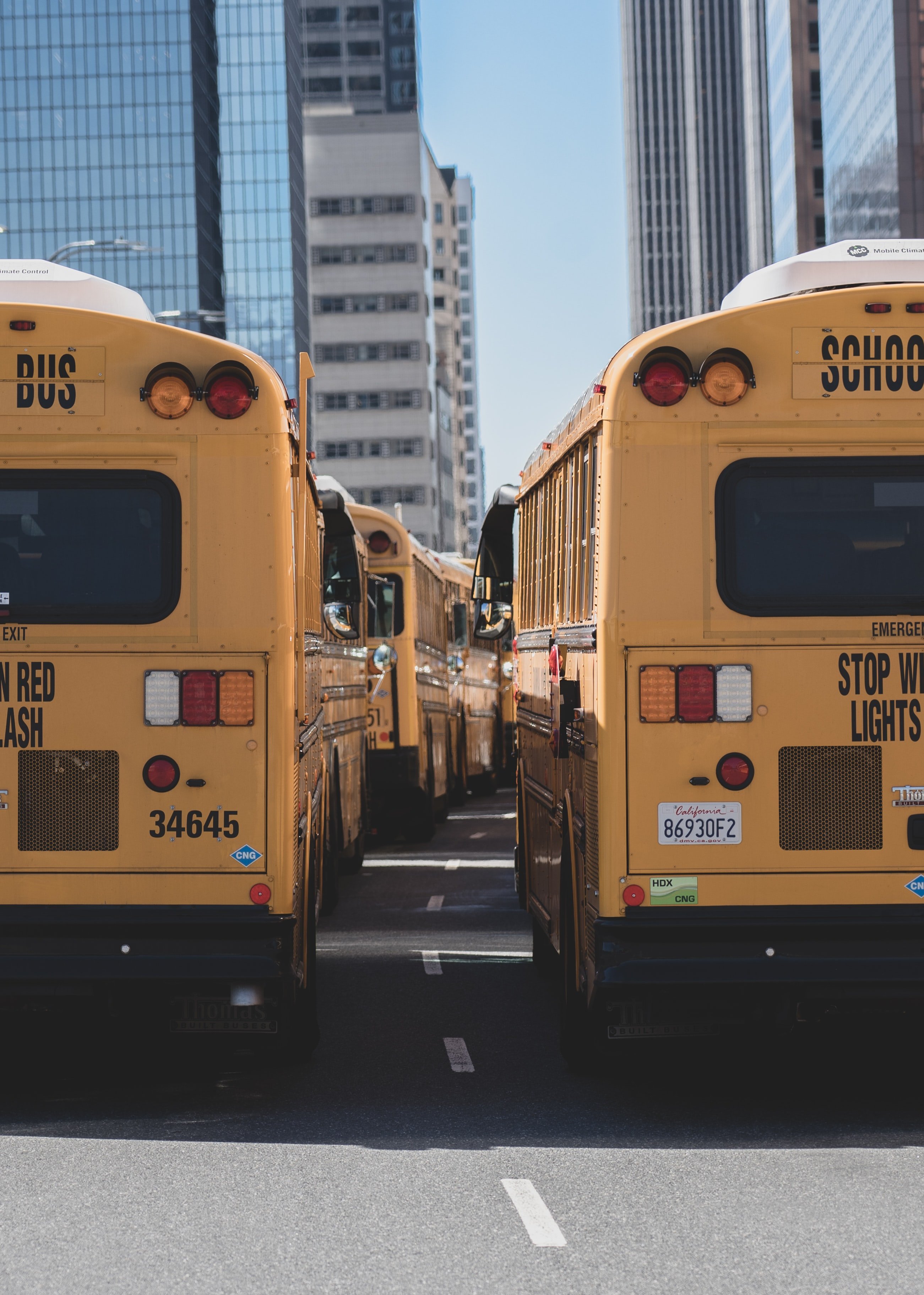 School buses on the road | Source: Unsplash