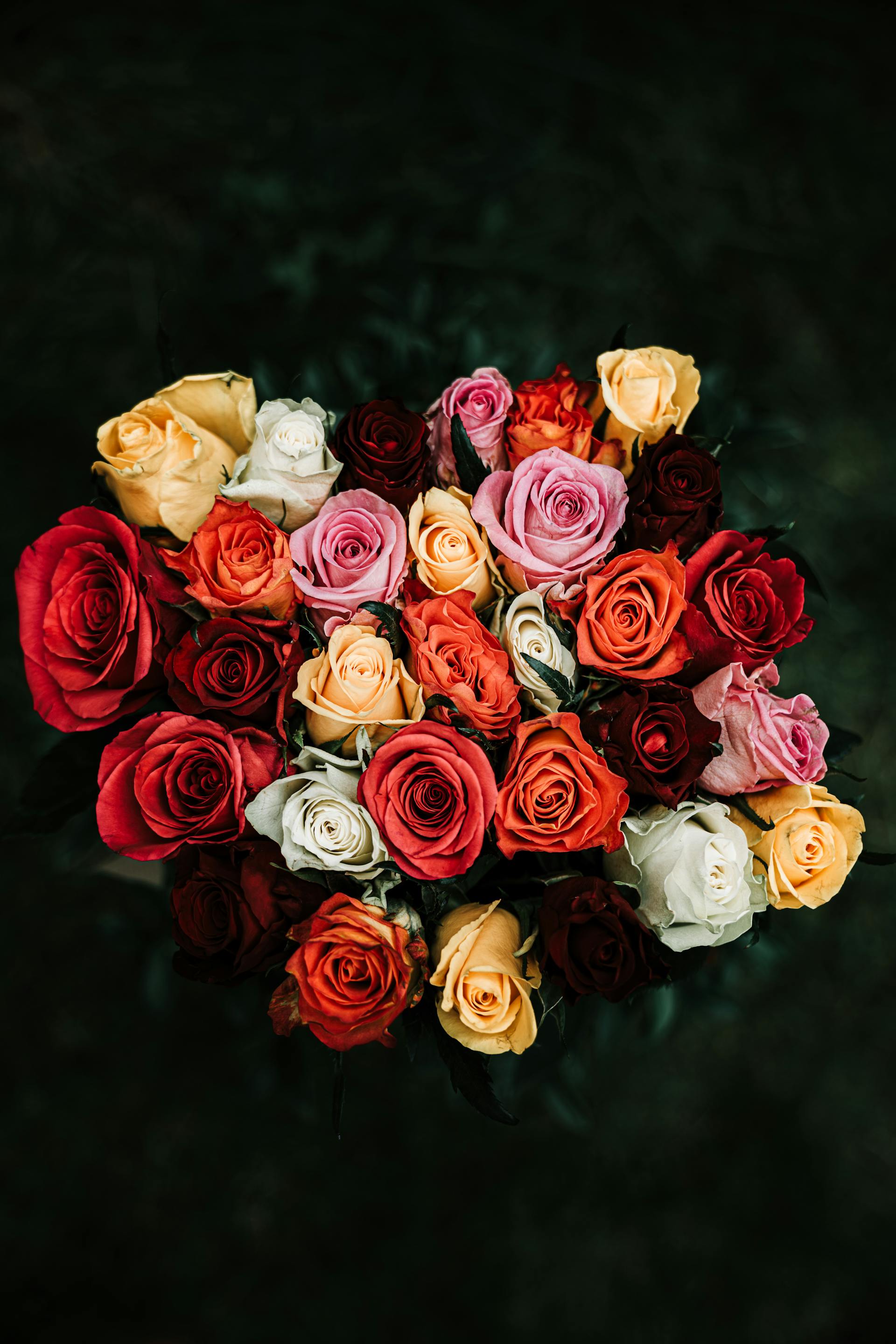 A bouquet of roses | Source: Pexels