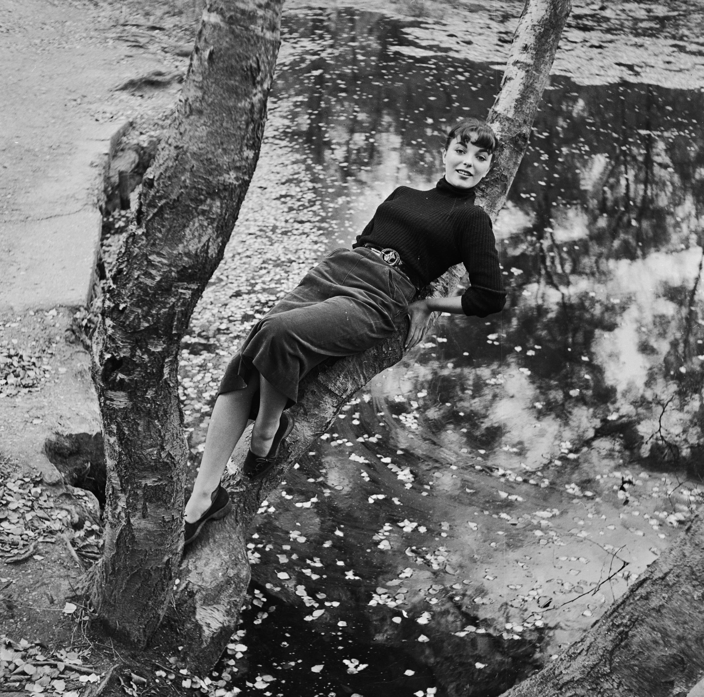 Joan Collins rests along the bough of a tree at Burnham Beeches in Buckinghamshire on October 31, 1951. | Source: Getty Images