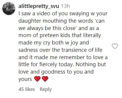 A fan's comment on a post by Mariska Hargitay of her and her daughter, Amaya Hermann, at a Taylor Swift concert at her Eras Tour in Los Angeles on August 6, 2023 | Source: Instagram/therealmariskahargitay