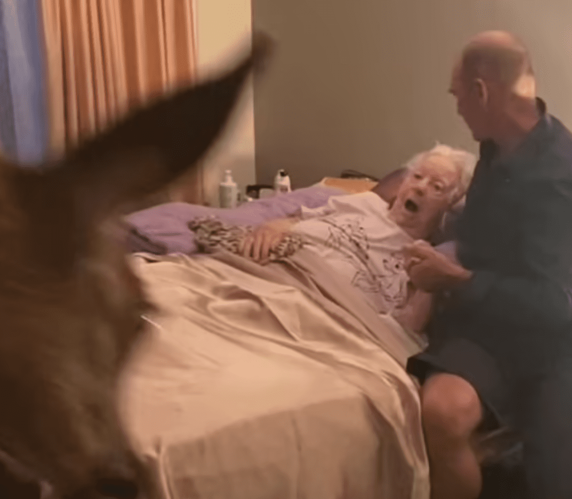 Sickly woman is stunned to see a deer entering her room | Source: youtube.com/The OverSeaClip