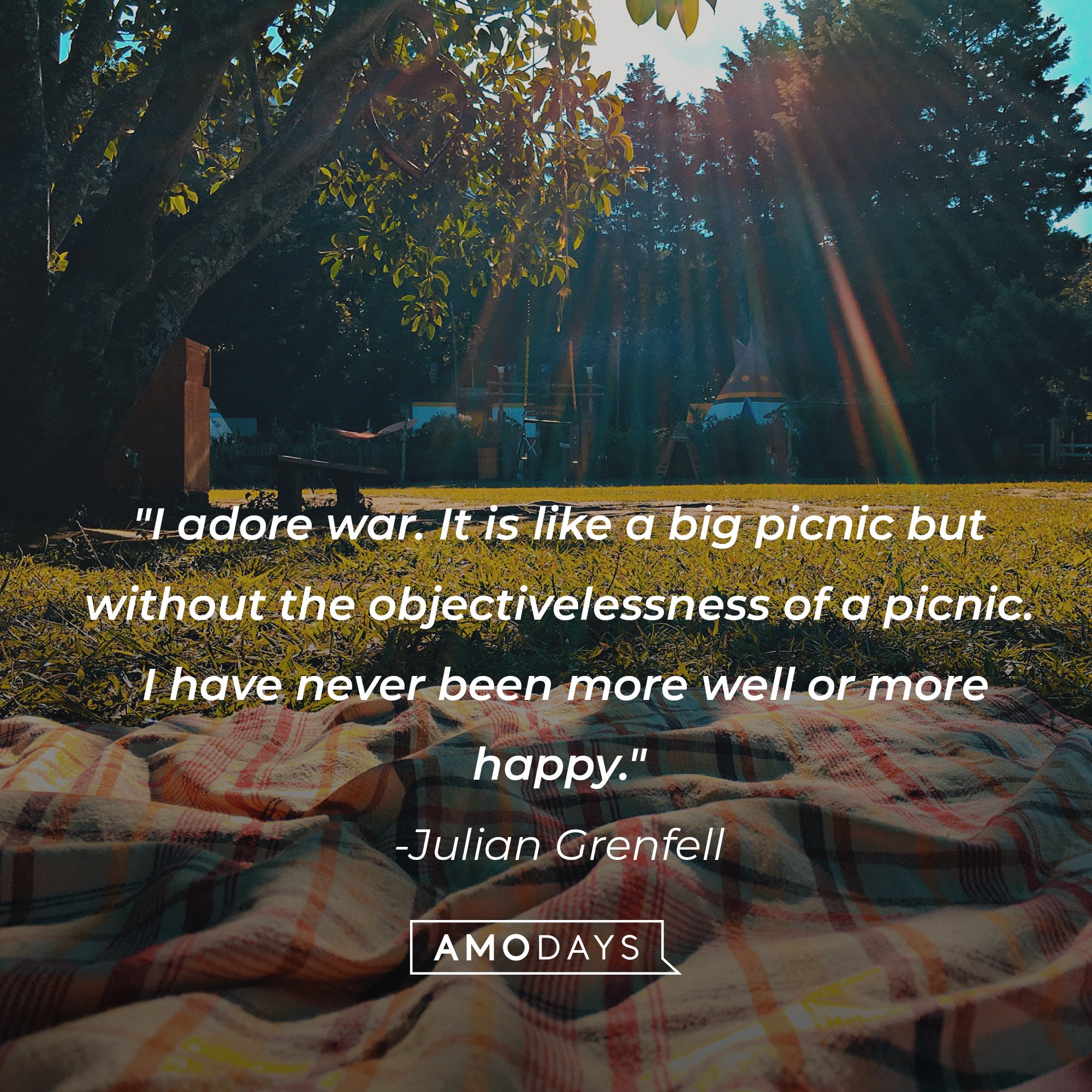 Julian Grenfell's quote: "I adore war. It is like a big picnic but without the objectivelessness of a picnic. I have never been more well or more happy." | Image: AmoDays