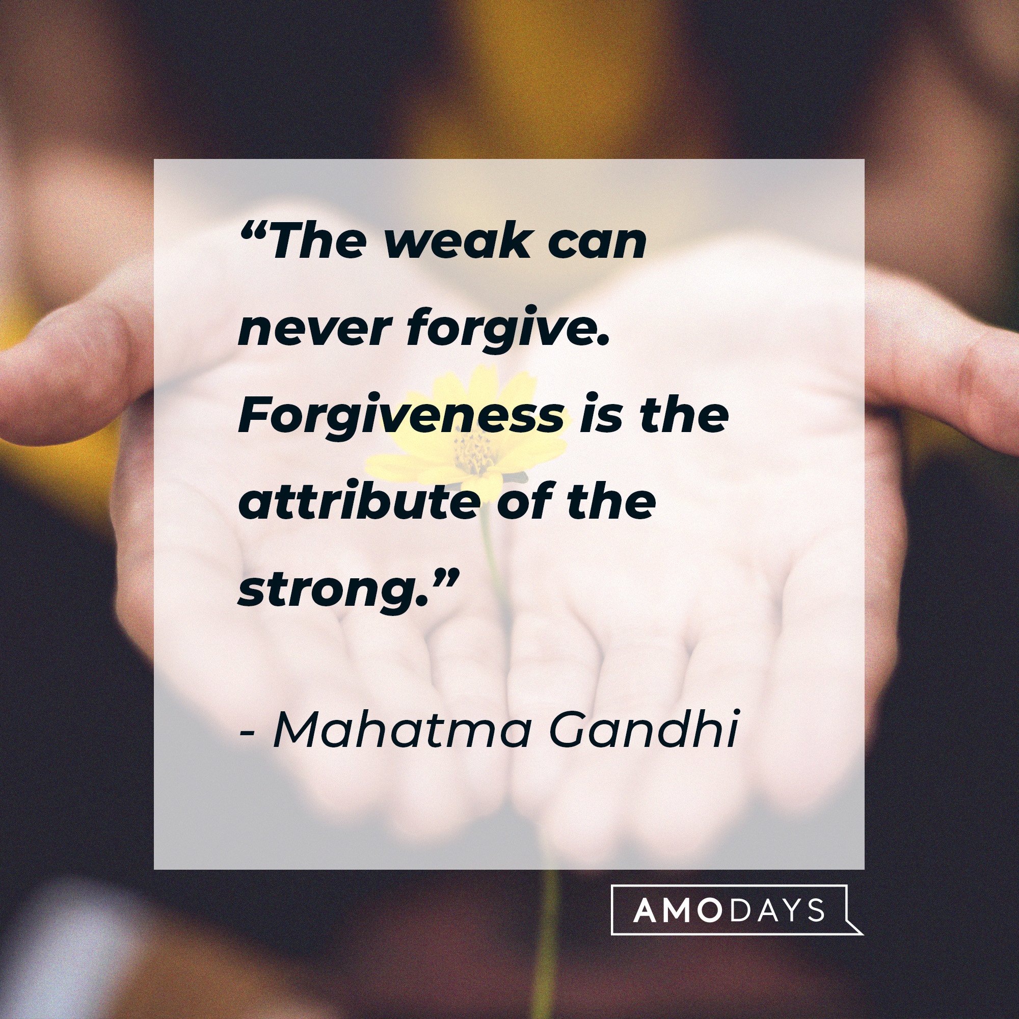 Mahatma Gandhi's quote: “The weak can never forgive. Forgiveness is the attribute of the strong.” | Image: AmoDays