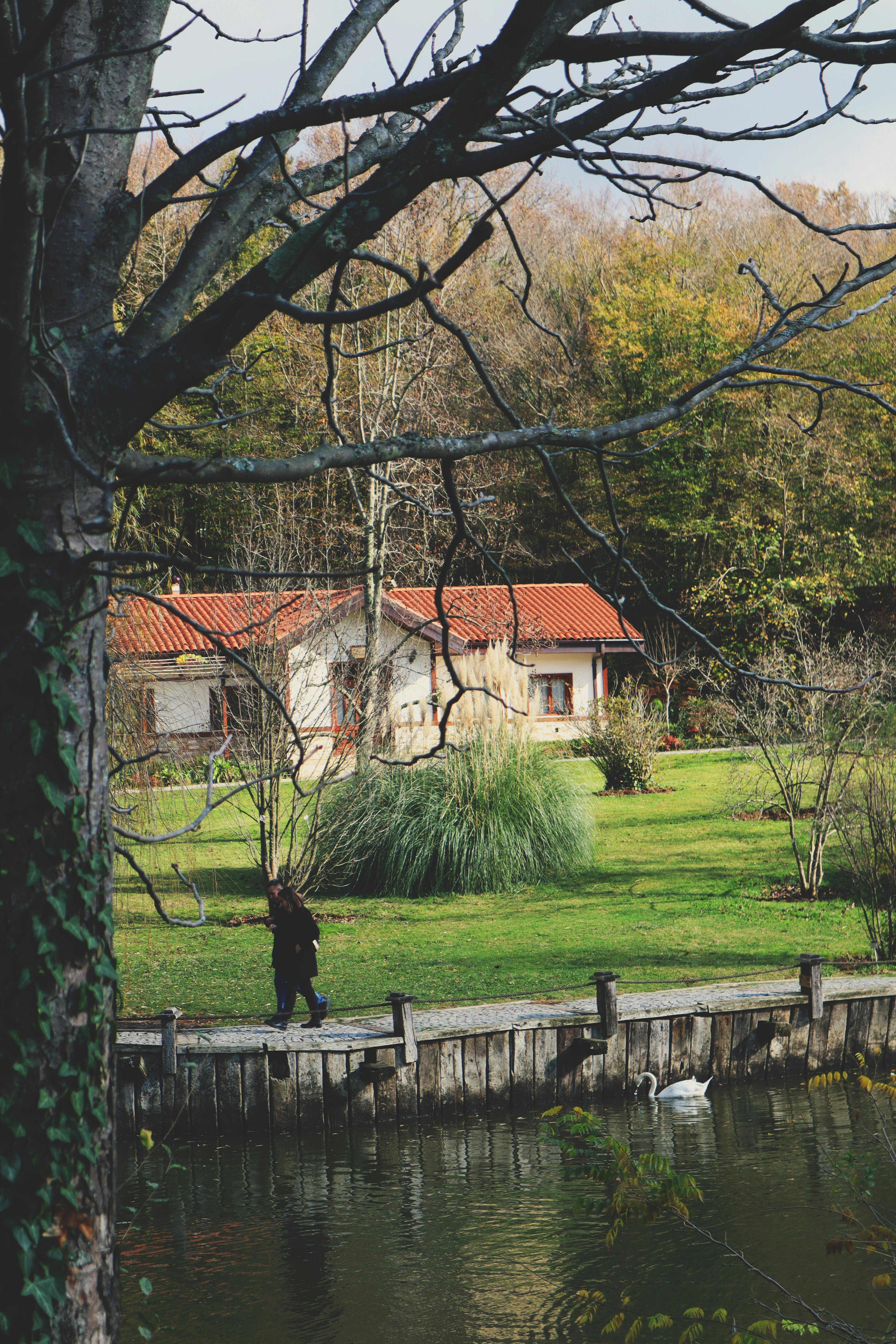 Cottage by the lake | Source: Pexels