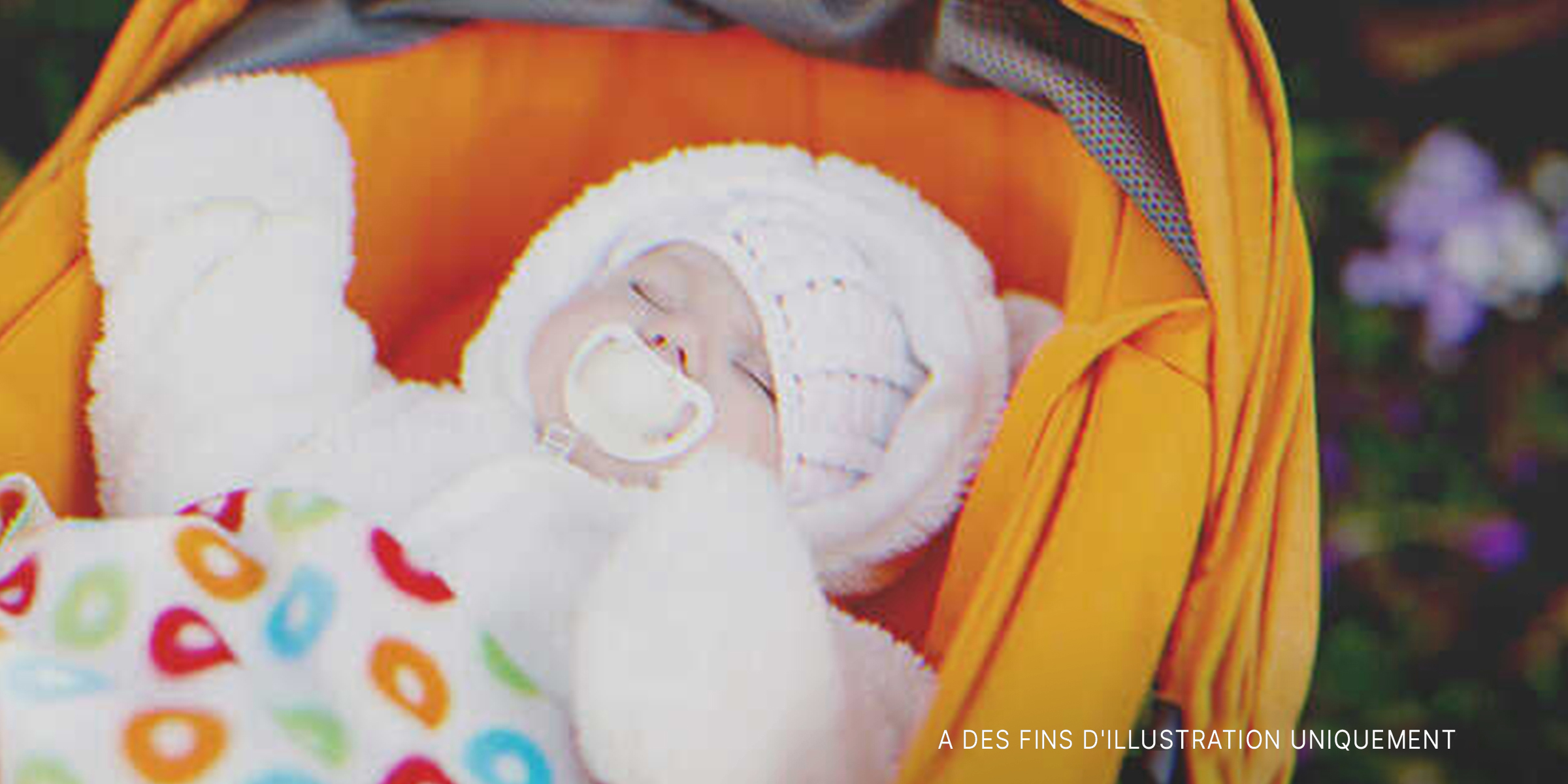 Bébé endormi dans une poussette | Source : Shutterstock