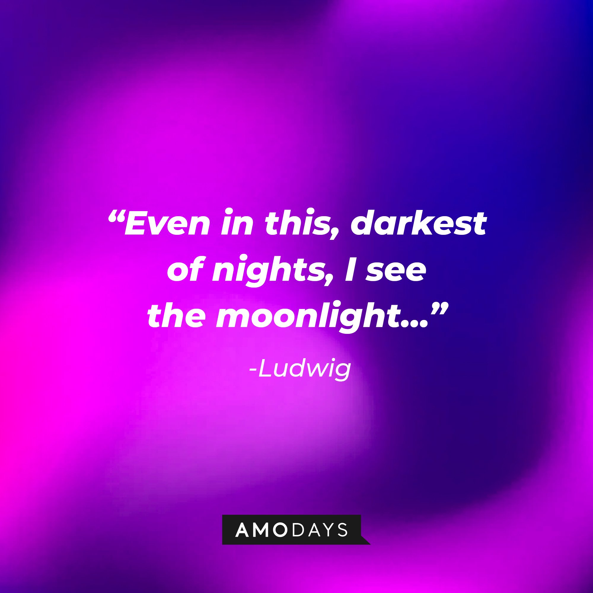  Ludwig’s quote: "Even in this, darkest of nights, I see the moonlight..." | Image: AmoDays