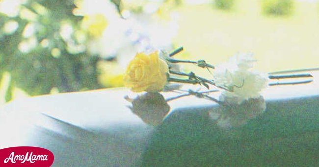 Gelbe Rose auf Sargdeckel | Quelle: Shutterstock  
