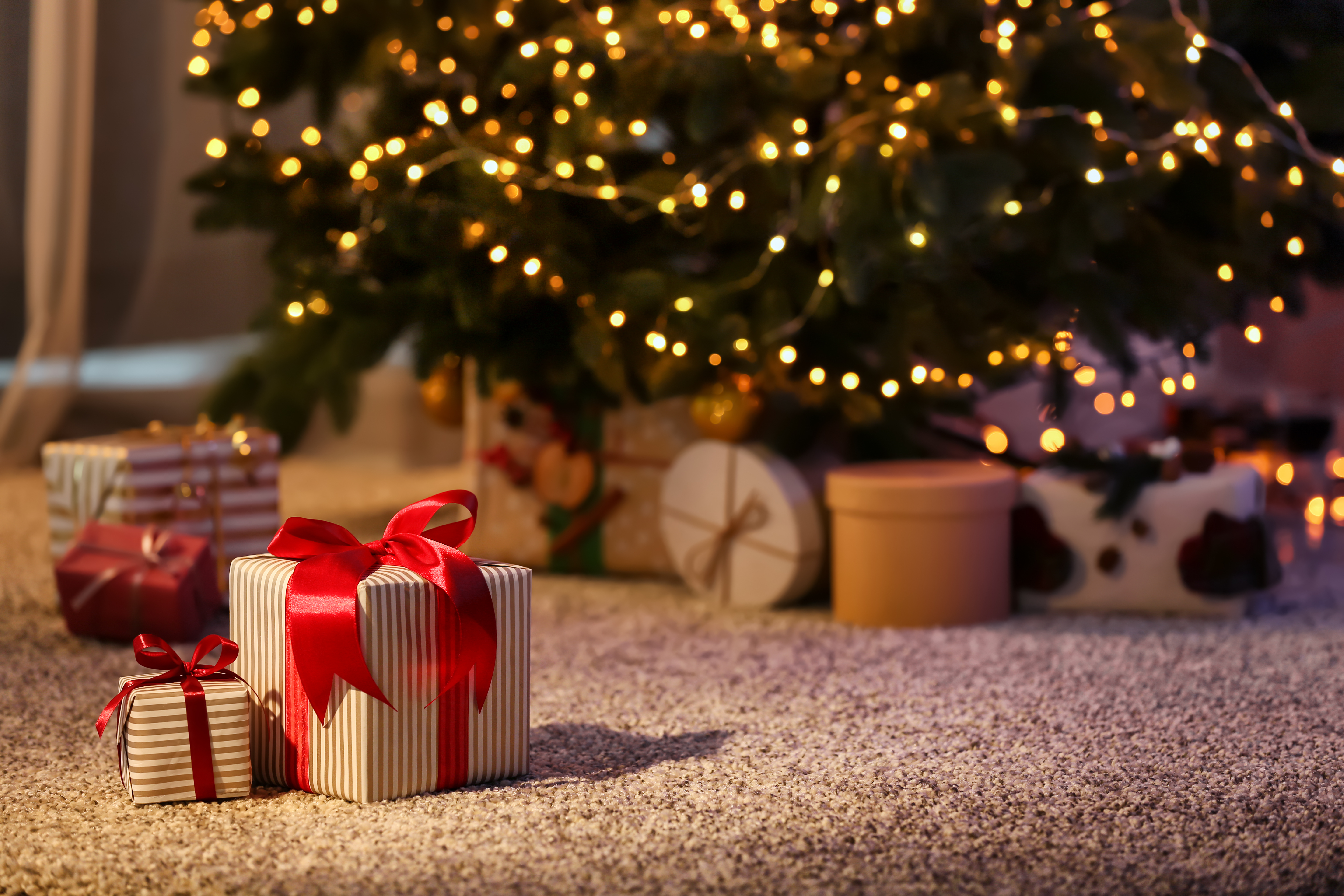 Beautiful Christmas | Source: Shutterstock