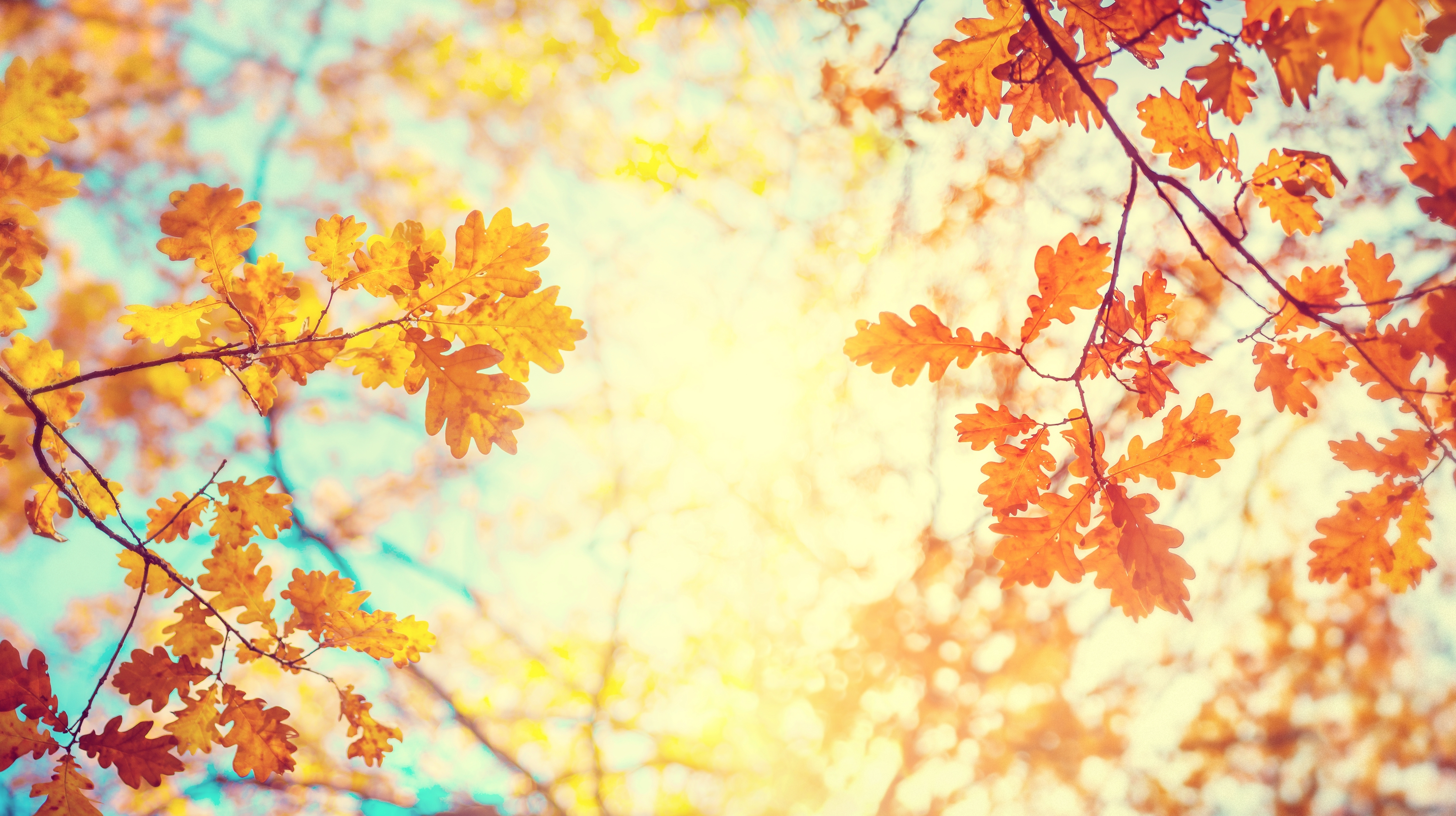 Autumn landscape | Source: Shutterstock