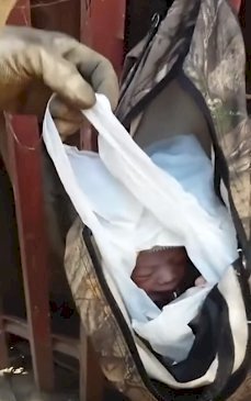 Source: YouTube/Viral Press Source: YouTube/Viral Press