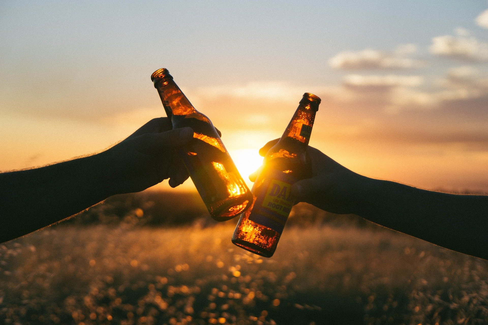 Two hands clinking beer bottle with a sunset in the background | Photo: Pixabay/Free-Photos