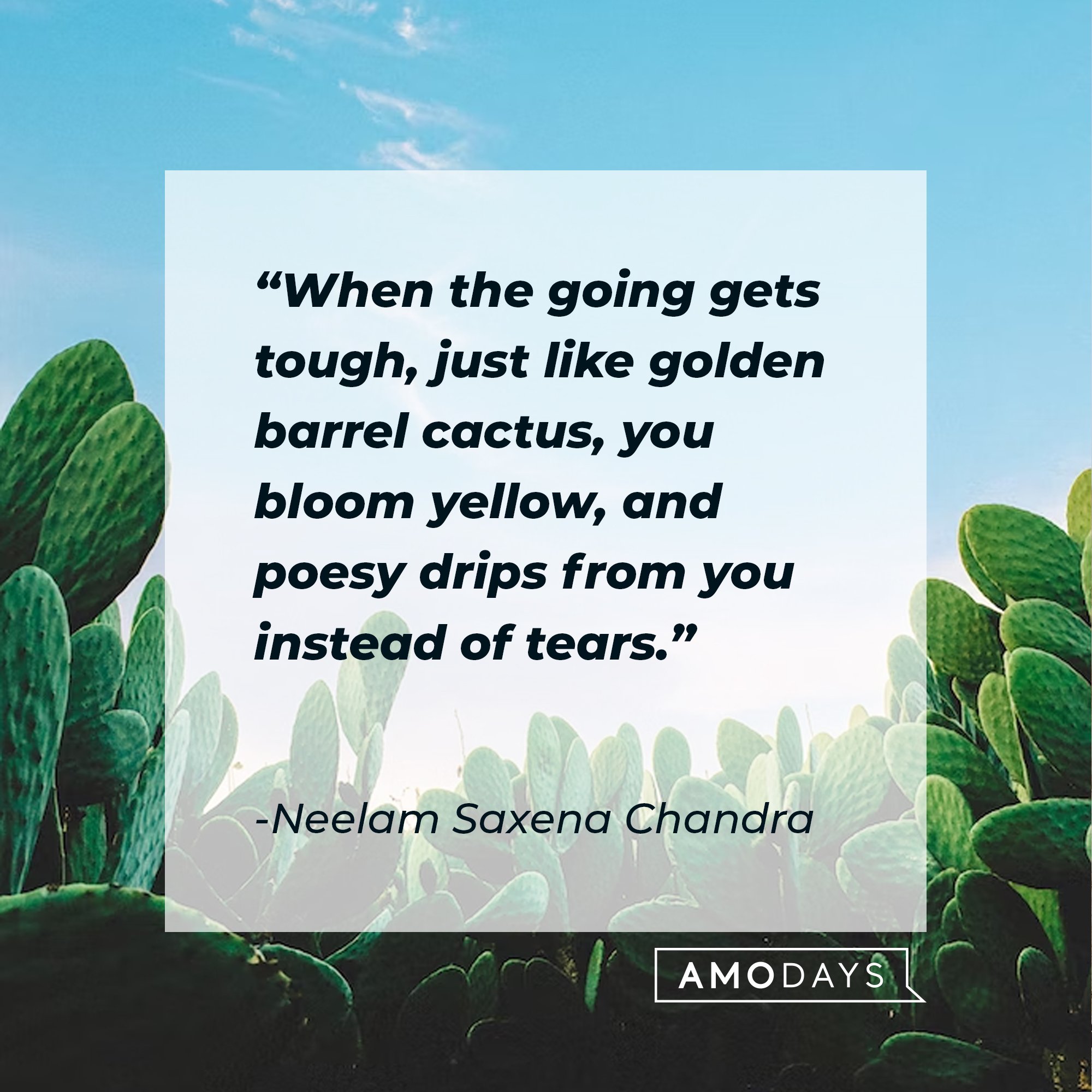 Neelam Saxena Chandra’s quote: "When the going gets tough, just like golden barrel cactus, you bloom yellow, and poesy drips from you instead of tears." | Image: AmoDays