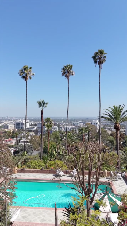 Here's an even better look at the view of the city, plus some of the furniture and nature surrounding the pool area. | Source: Instagram/weahomes