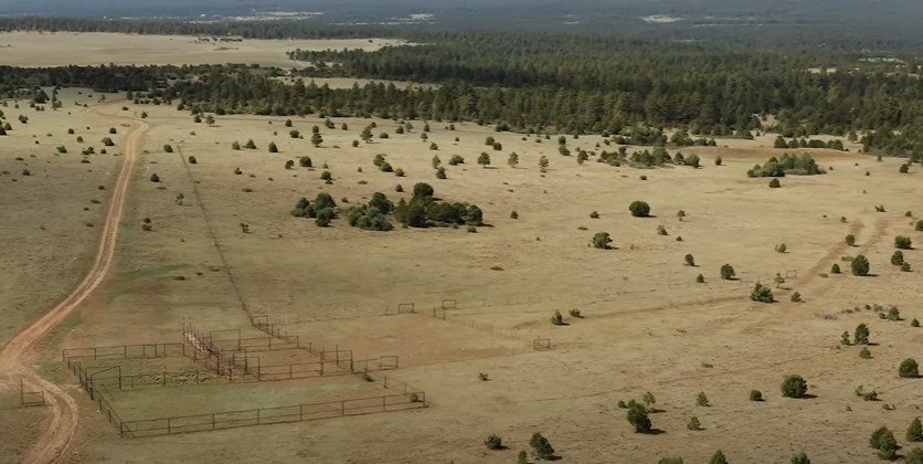 A tour of Patrick Swayze and Lisa Niemi's dream ranch | Photo: Youtube/Chas. S. Middleton & Sons