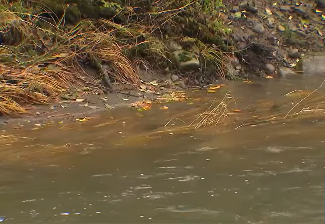 A view of the Bogachiel River as seen in a video dated November 6, 2025 | Source: YouTube/@komonews