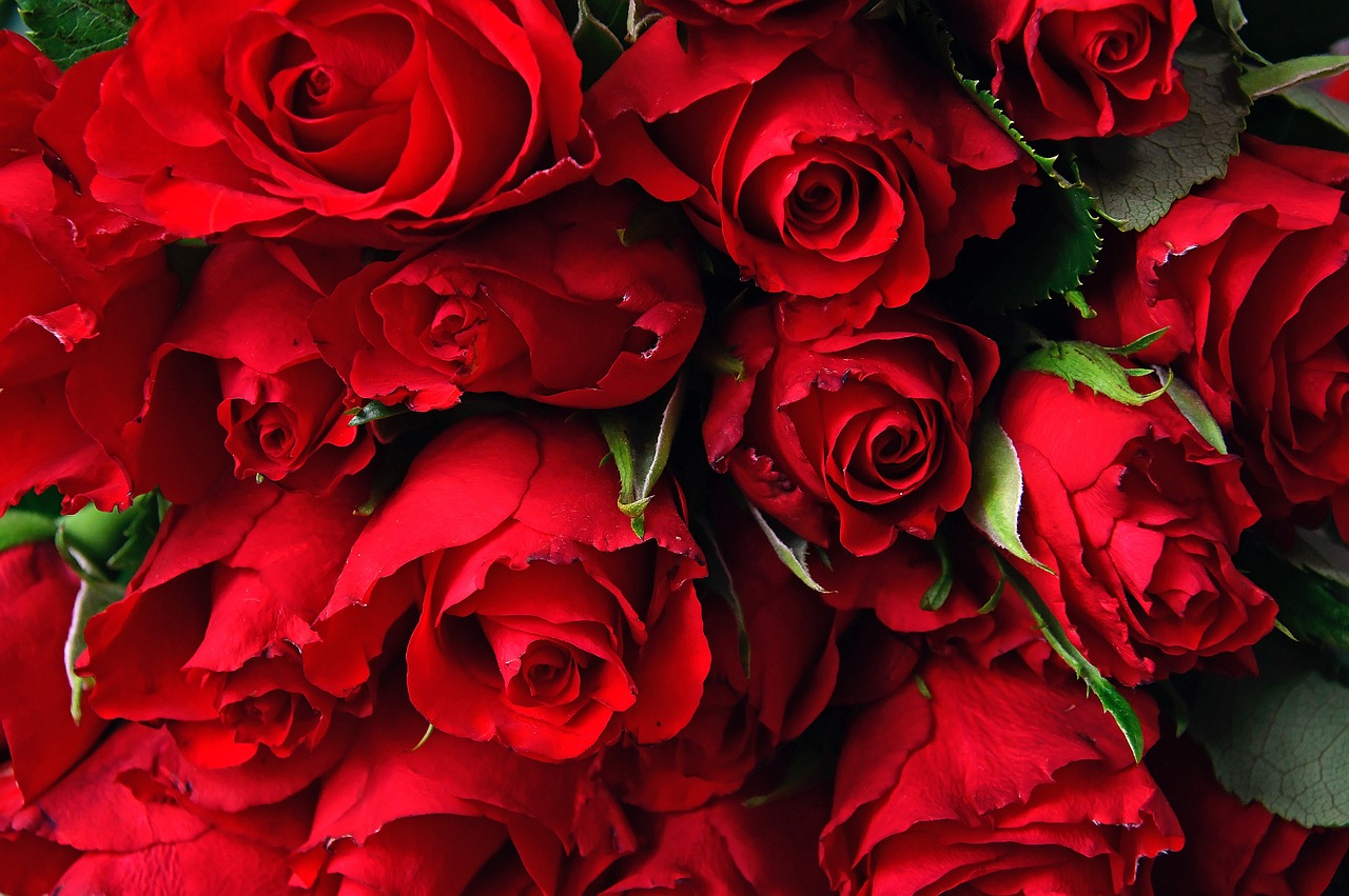 A bouquet of red roses | Source: Pixabay