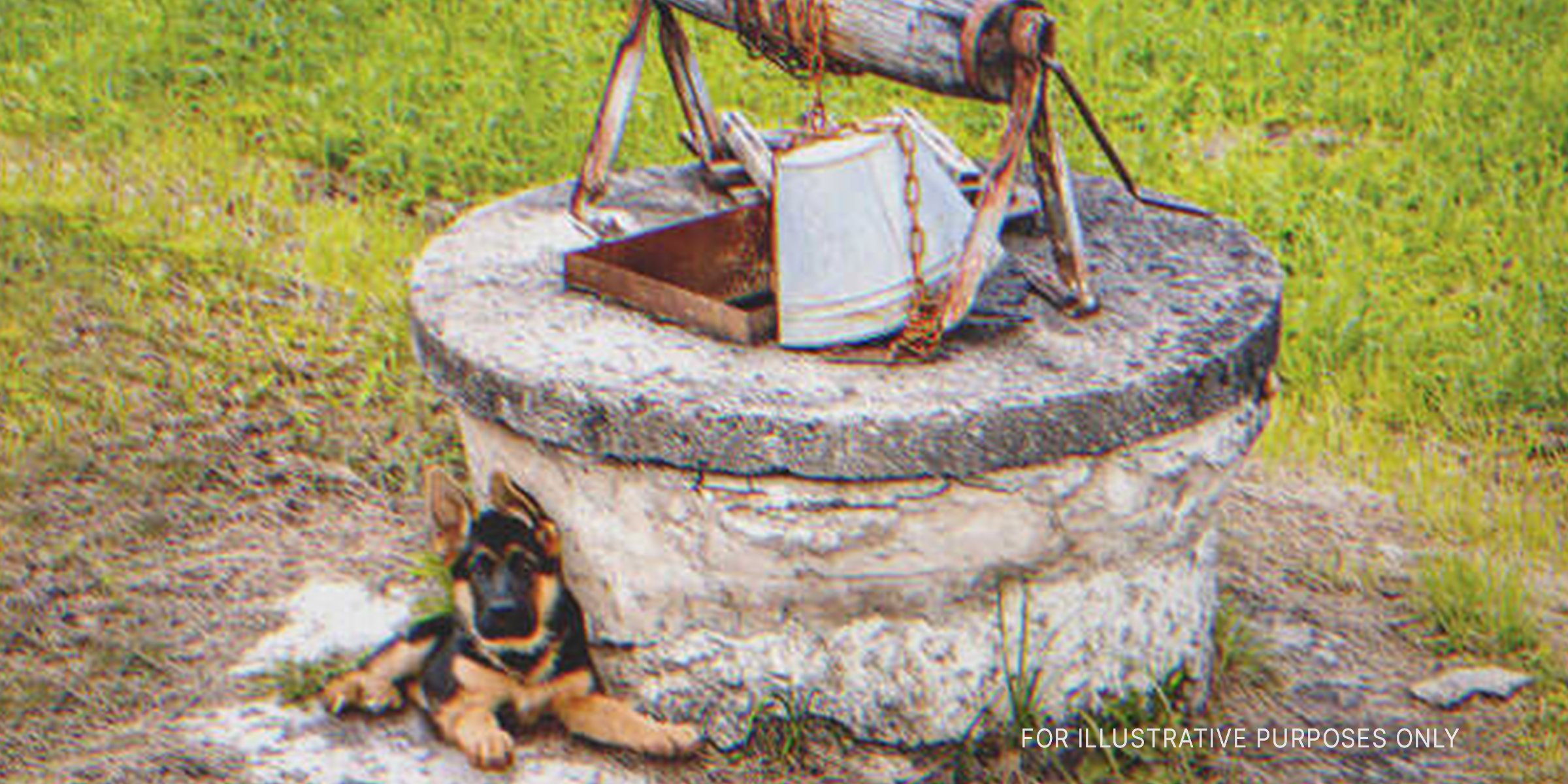 Puppy Sitting Near A Well. | Source: Getty Images