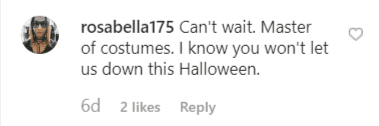 A fan comment on Heidi Klum's sneak peek of her costume | Instagram: @heidiklum