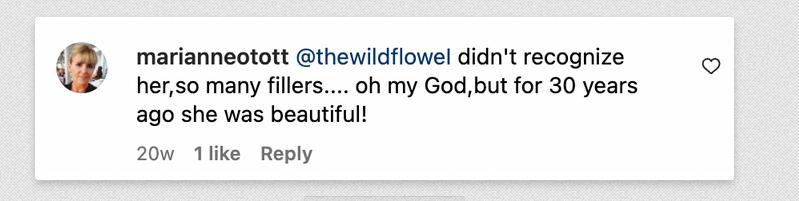 A comment on Jaclyn Smith's Instagram post | Source: Instagram.com/Jaclyn Smith