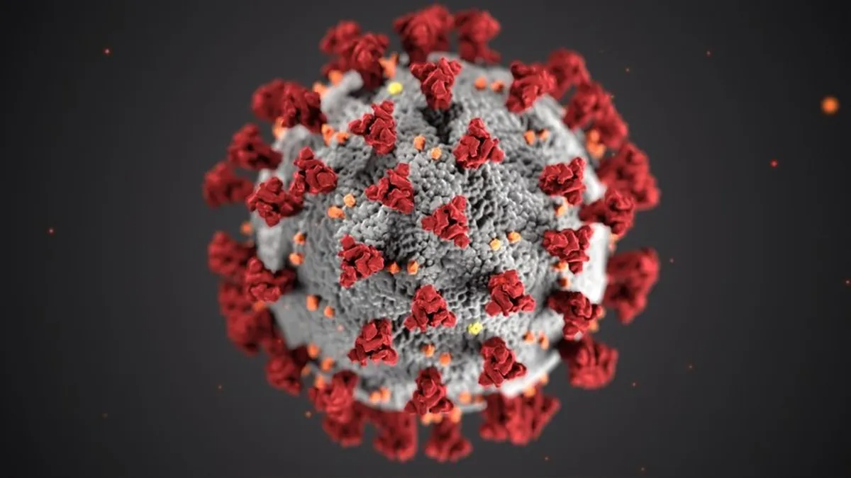 Le coronavirus. | Photo : Unsplash