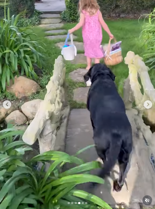A dog walks behind Lilibet as she walks across a bridge while holding a basket from a video dated April 6, 2026. | Source: Instagram/meghan