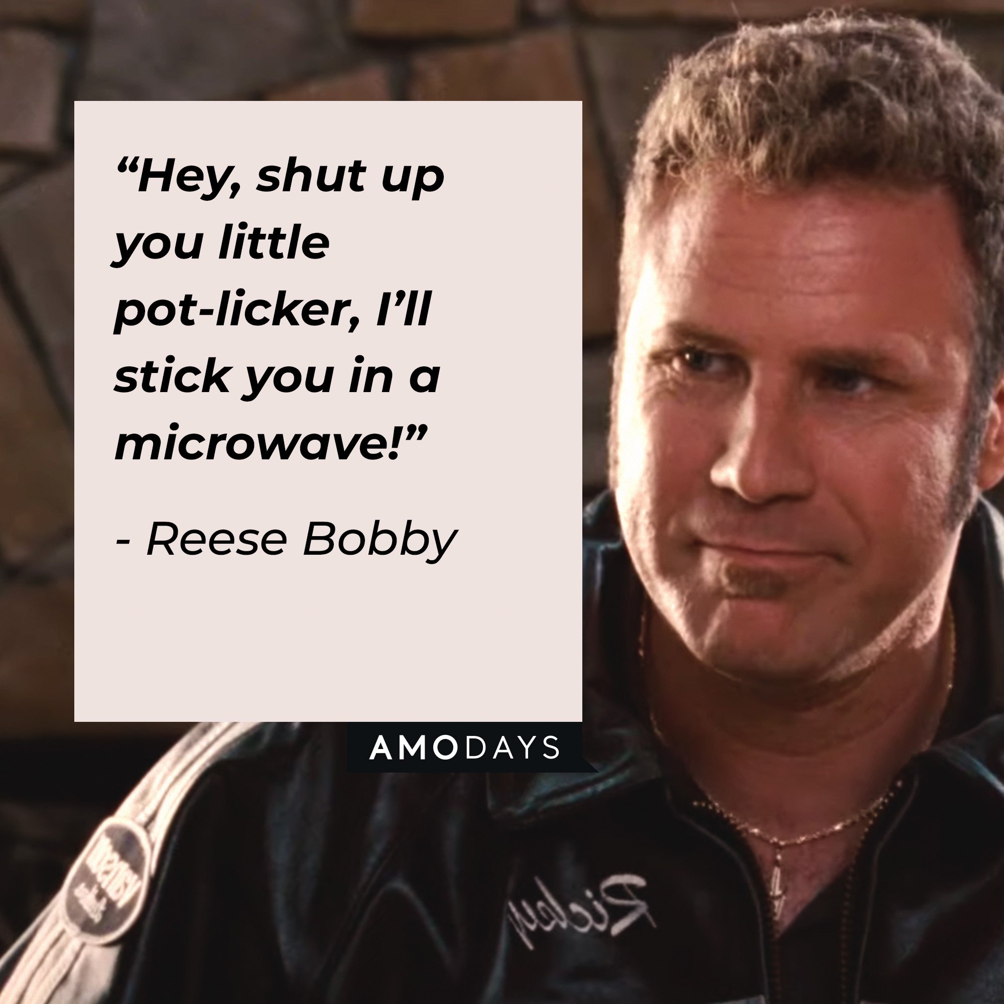 Reese Bobby’s quote: “Hey, shut up you little pot-licker, I’ll stick you in a microwave!” | Image: AmoDays