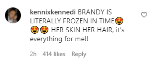 A fan's comment on Brandy and her daughter's TikTok video. | Photo: Instagram/Theshaderoom