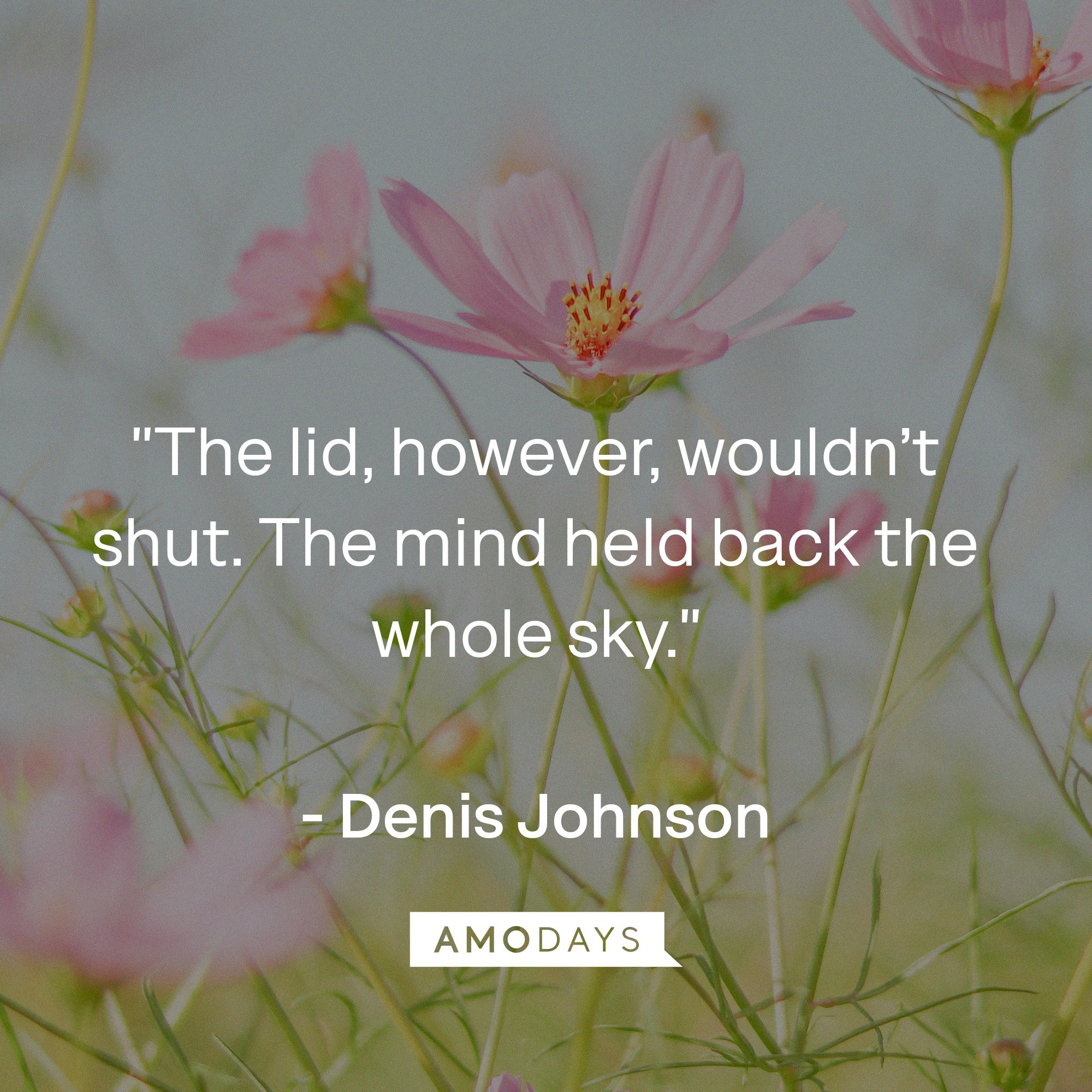Denis Johnson's quote: "The lid, however, wouldn't shut. The mind held back the whole sky."  | Image: AmoDays