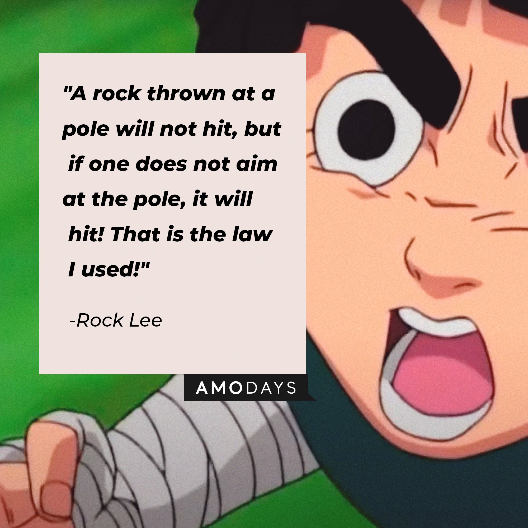 Rock Lee's quote: "A rock thrown at a pole will not hit, but if one does not aim at the pole, it will hit! That is the law I used!" | Image: AmoDays