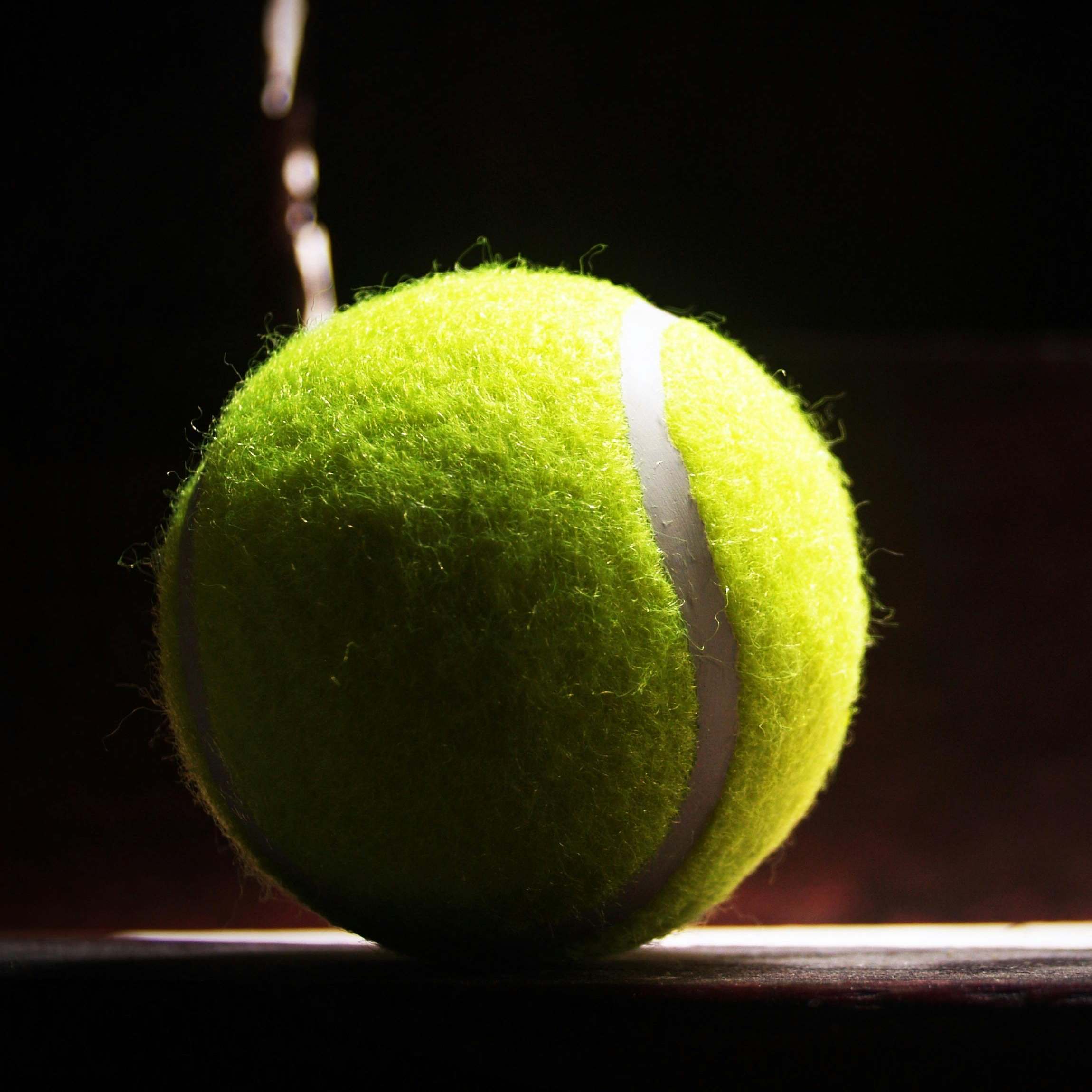 An elegantly back-lit tennis ball | Source: Pexels