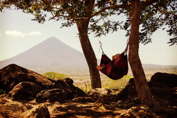 Image Credit: Pexels Image Credit: Pexels