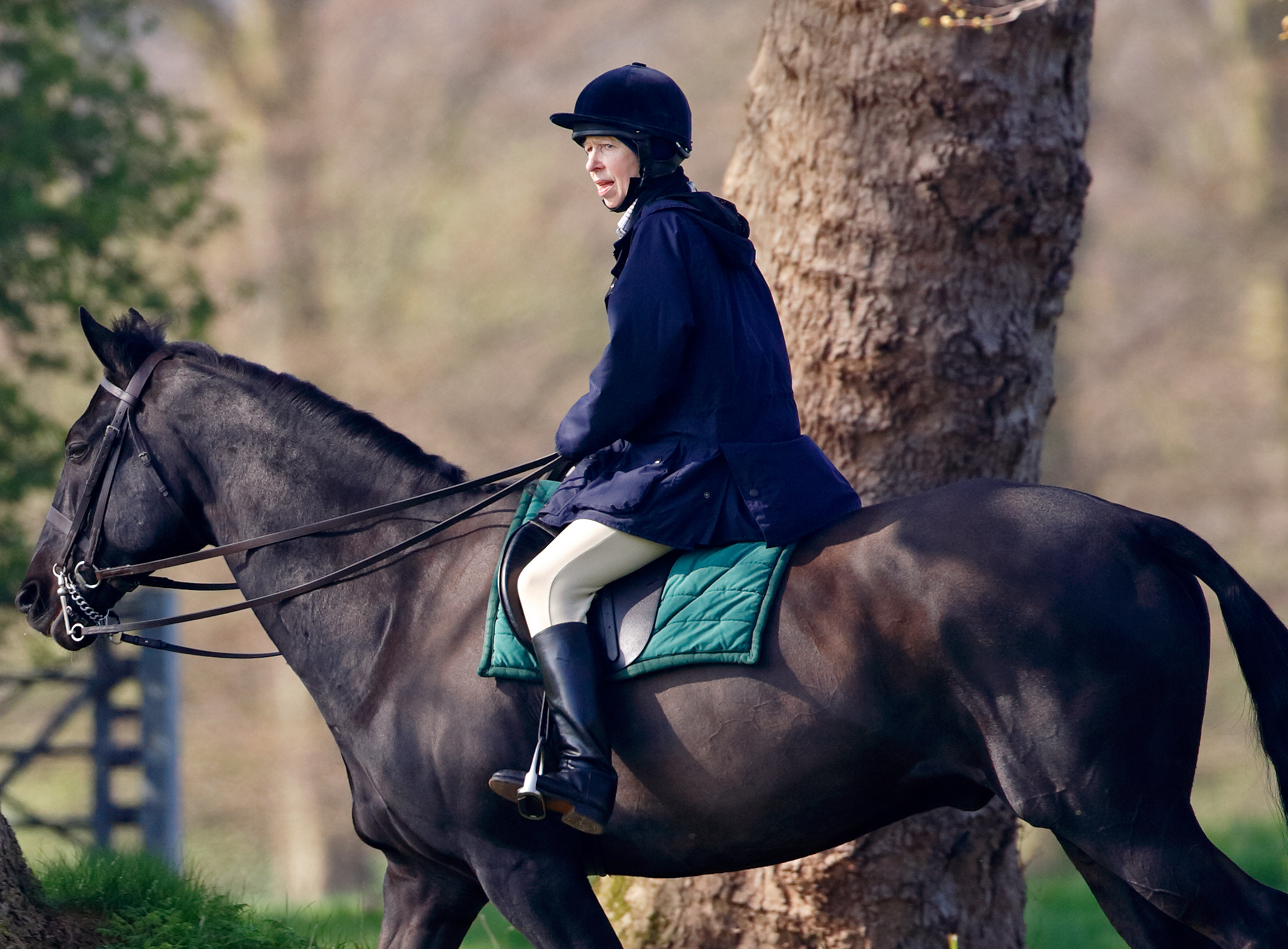 Princess Anne seen horse riding on the grounds of Windsor Castle in Windsor, England on April 22, 2006 | Source: Getty Images