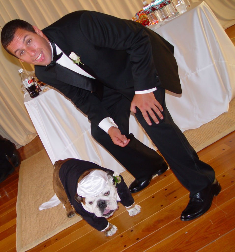Adam Sandler poses with his pet bulldog Meatball at his wedding on June 22, 2003, in Malibu | Source: Getty Images
