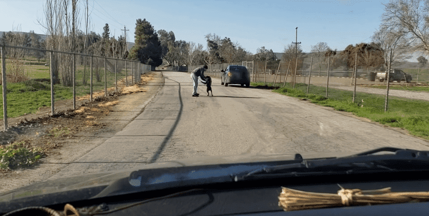 A man pushing his dog away in an attempt of abandoning him at a road in Lake Ming, Bakersfield, California. | Source: YouTube/ViralHog