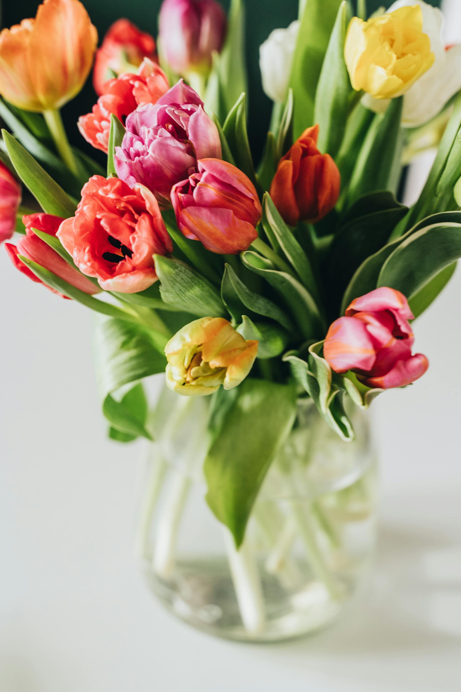 Tulips in a vase | Source: Pexels