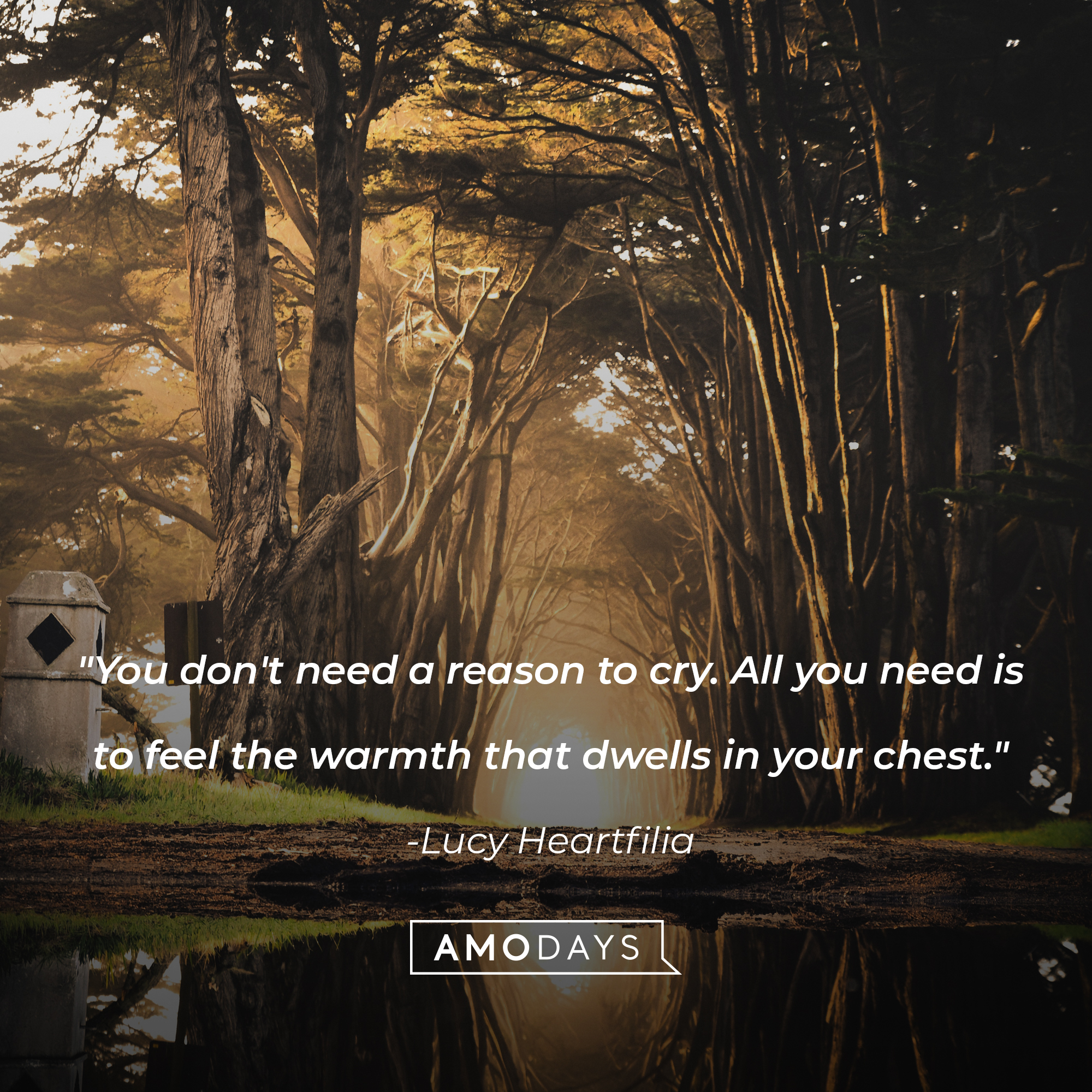 Lucy Heartfilia's quote: "You don't need a reason to cry. All you need is to feel the warmth that dwells in your chest." | Image: Unsplash
