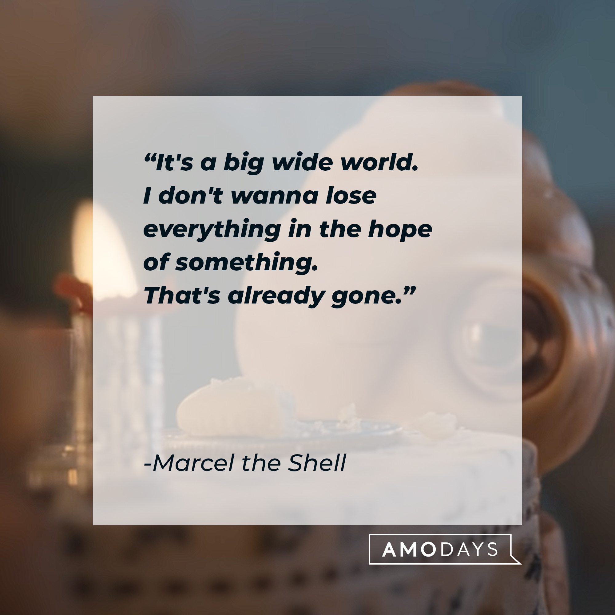 Marcel the Shell's quote: “It's a big wide world. I don't wanna lose everything in the hope of something. That's already gone.” | Source: youtube.com/A24