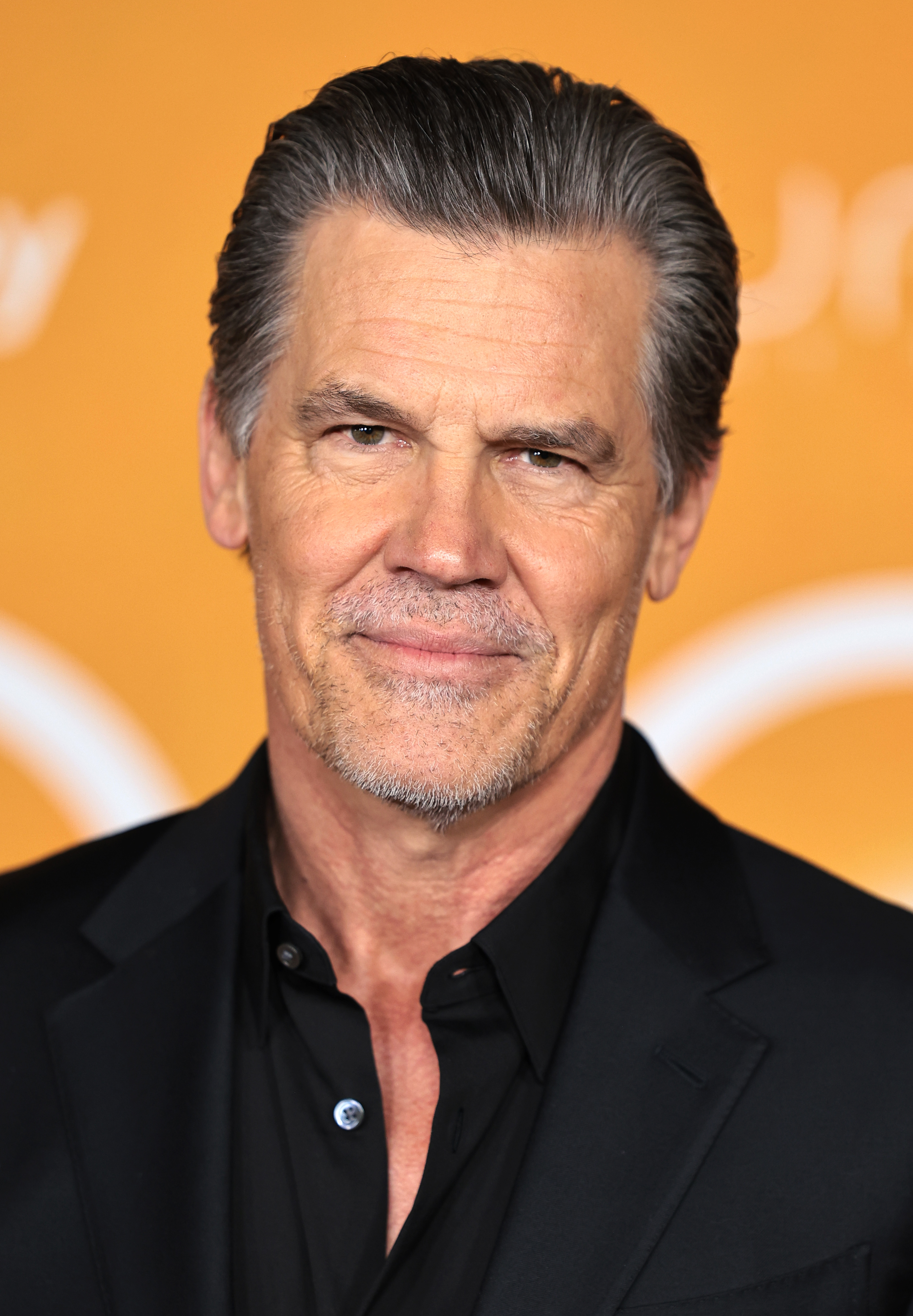Josh Brolin attends the premiere of "Dune: Part Two," 2024 | Source: Getty Images