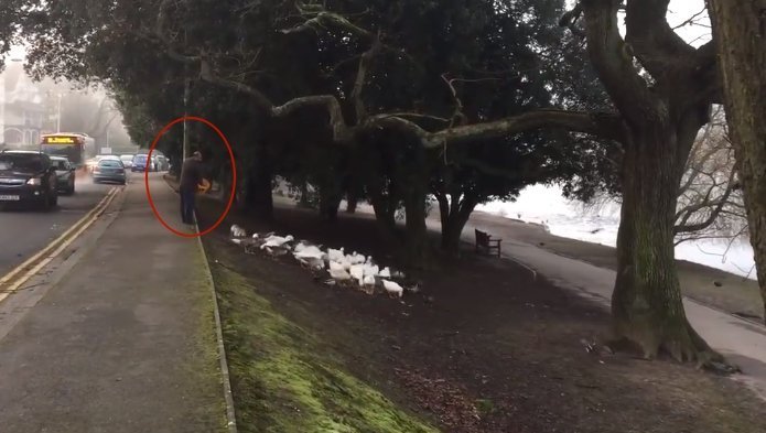 Quelle: Facebook/The Bird Whisperer Quelle: Facebook/The Bird Whisperer