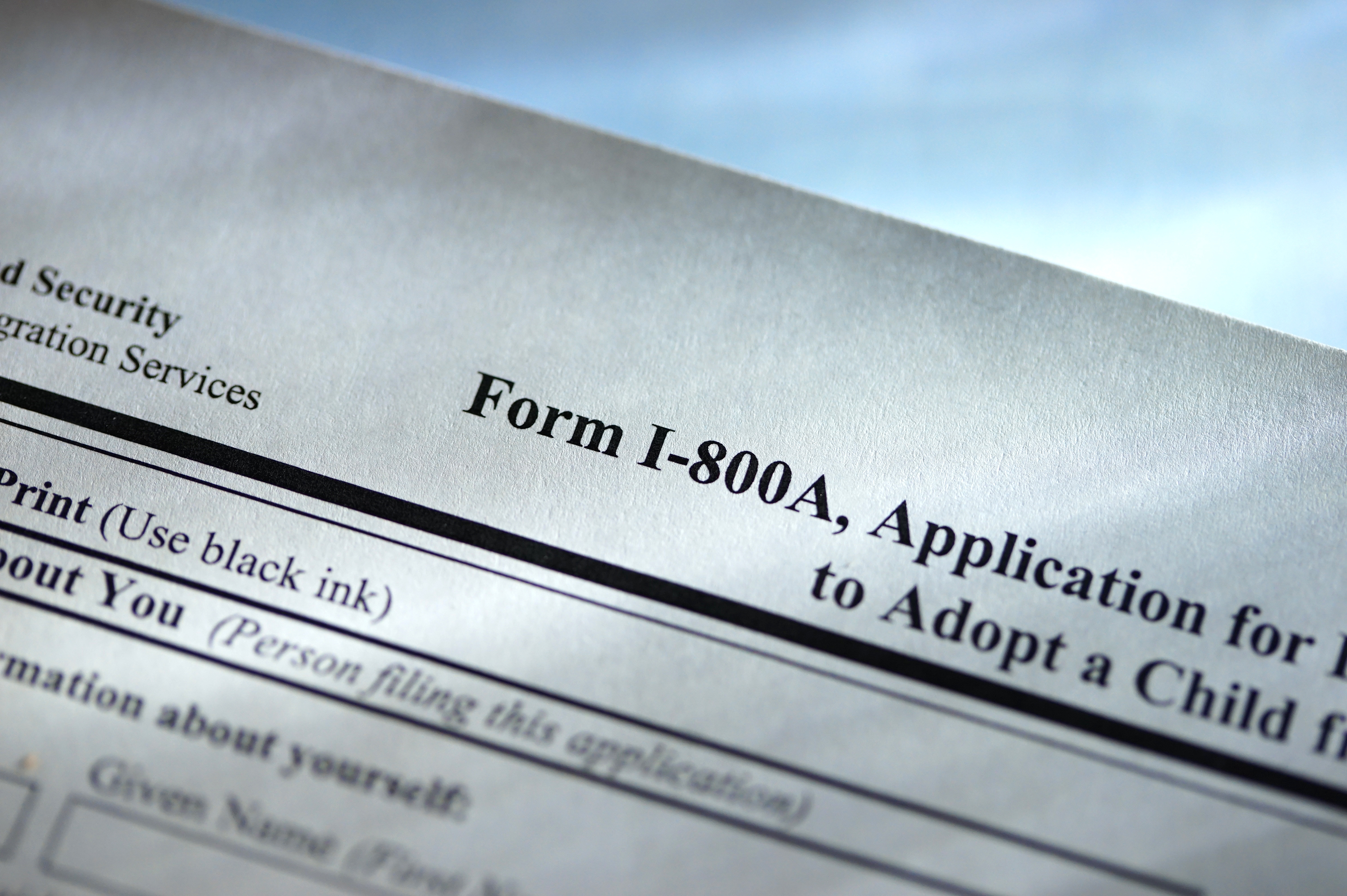 An adoption application form | Source: Getty Images