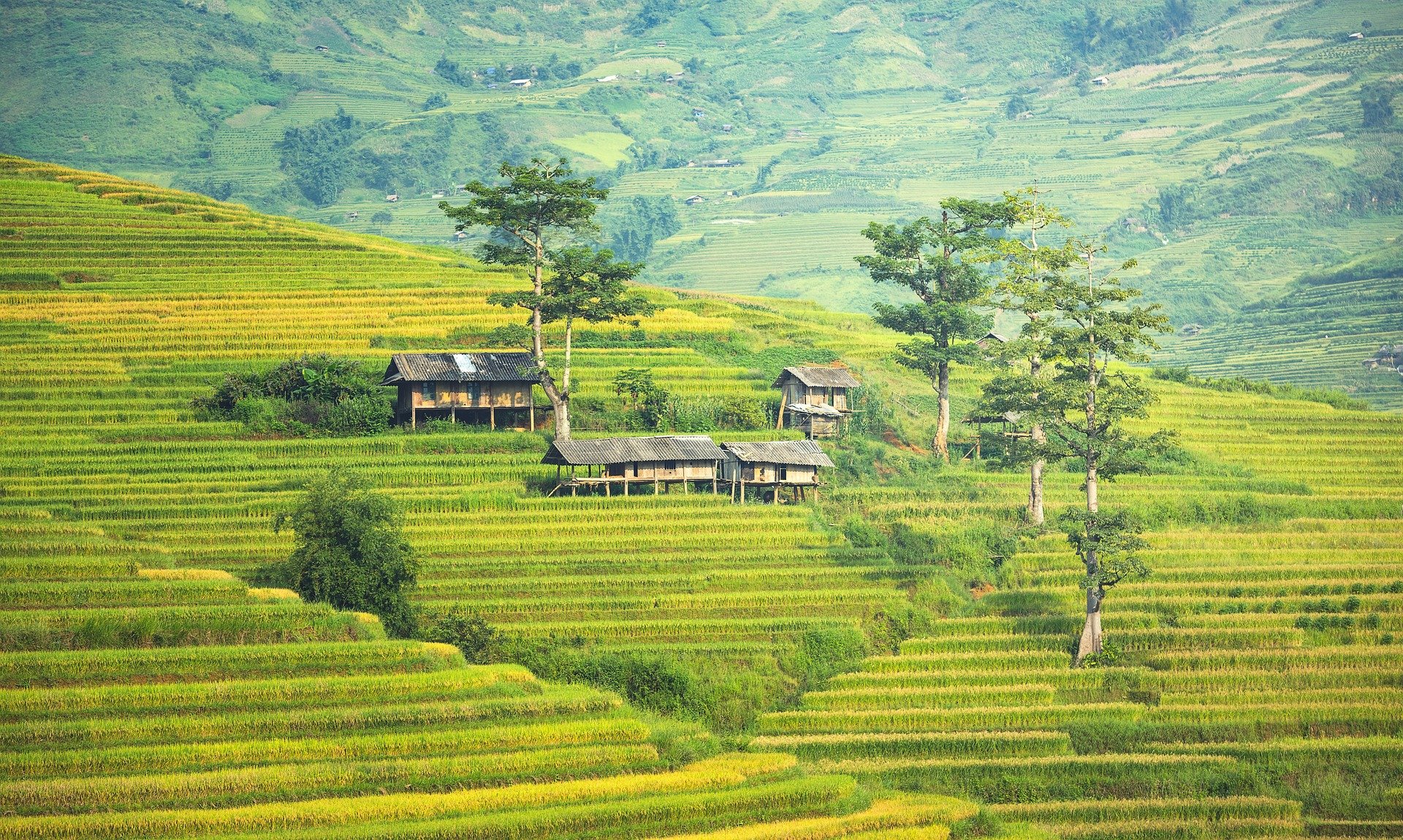 Pictured - A village in Thailand situated in the agricultural area | Source: Pixabay 