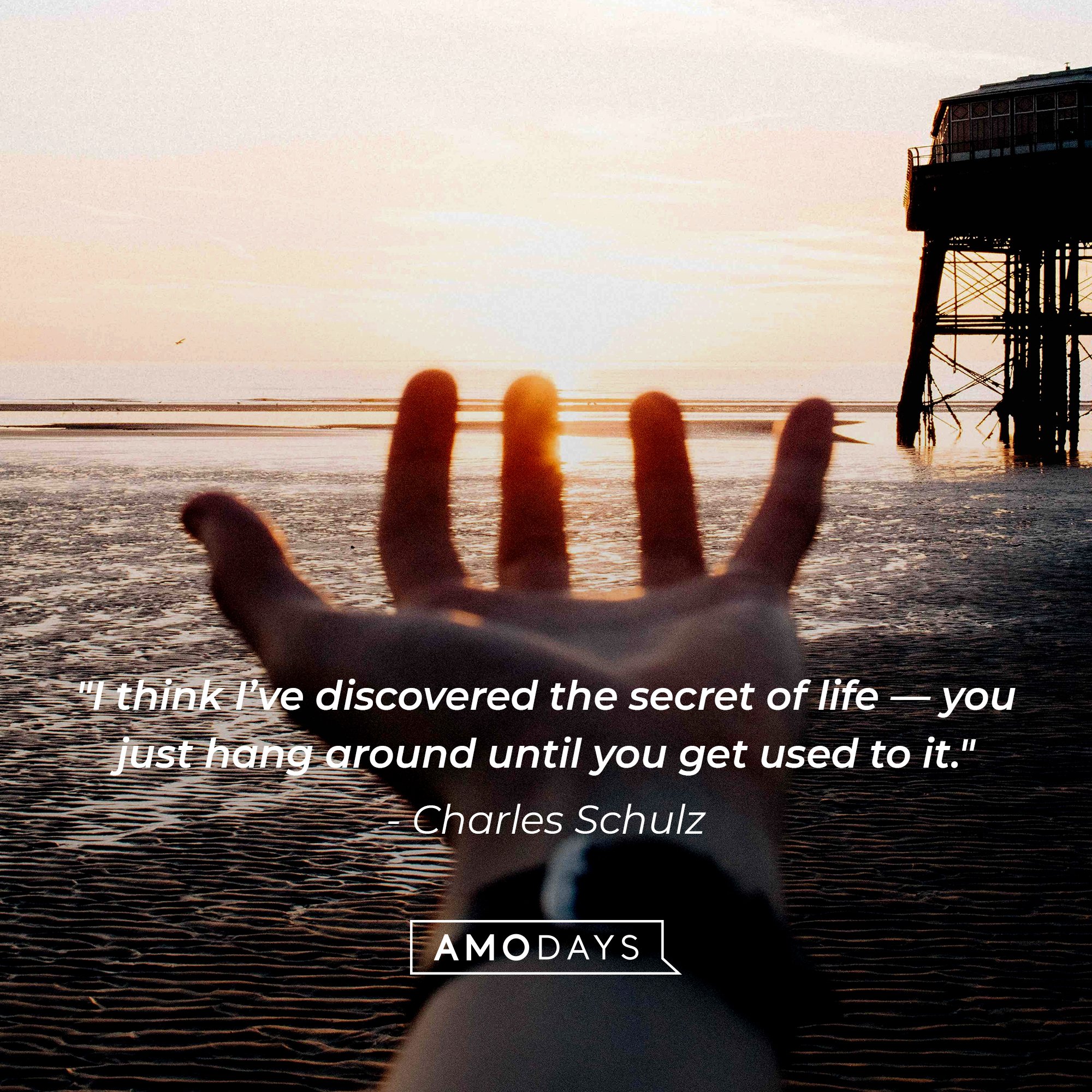  Charles Schulz 's quote: "I think I’ve discovered the secret of life — you just hang around until you get used to it." | Image: AmoDays