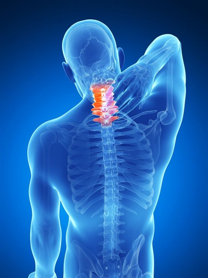 Source: Shutterstock Source: Shutterstock