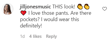 A fan's comment under a picture posted by Van Hunt on his Instagram | Photo: Instagram/vanhunt