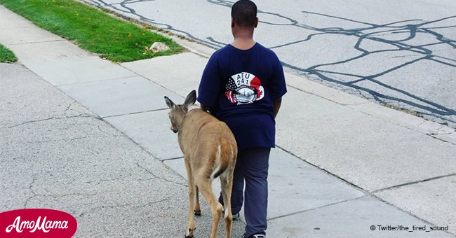 10-year-old boy helped a blind deer to find food every morning