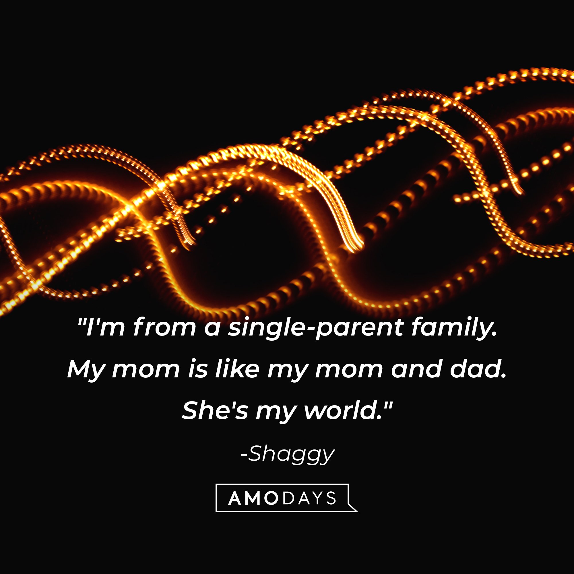 Shaggy's quote: "I'm from a single-parent family. My mom is like my mom and dad. She's my world." | Image: AmoDays